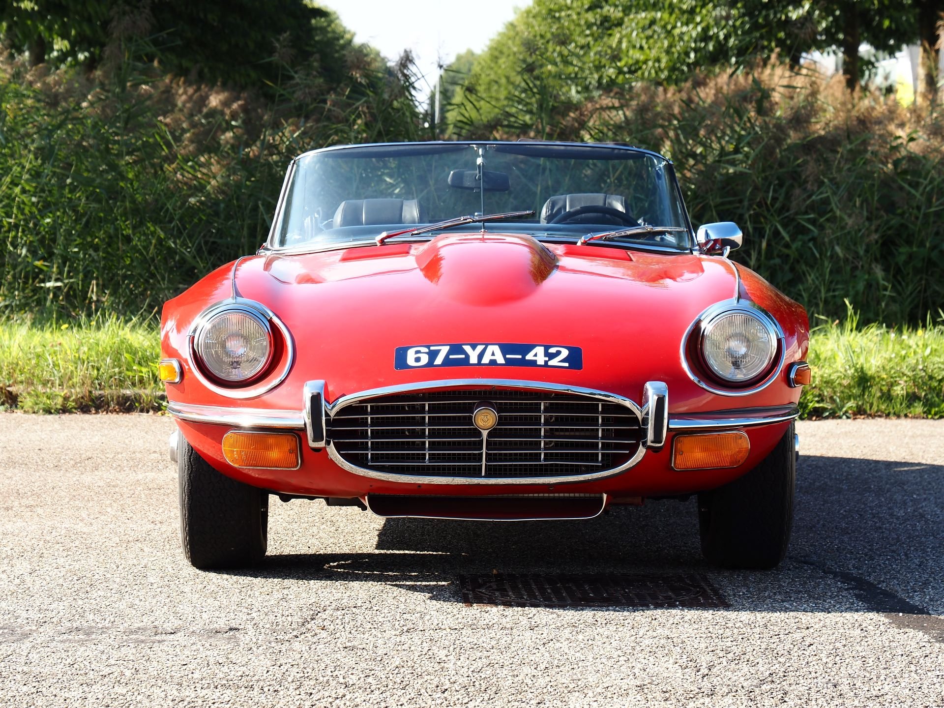 Jaguar E-type V12 Roadster
