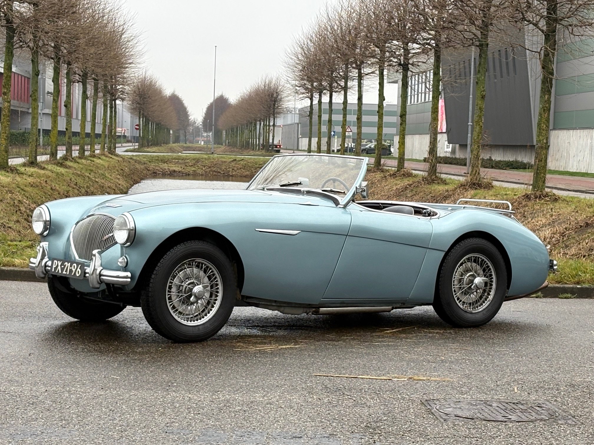 Austin Healey 100 BN1